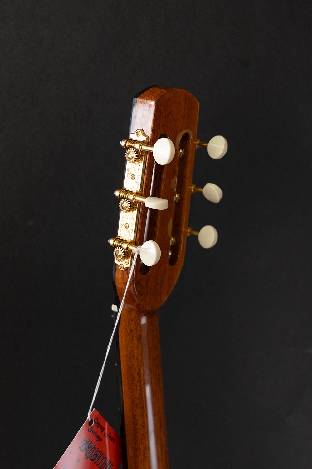 Altamira M01-F Gypsy guitar oval soundhole