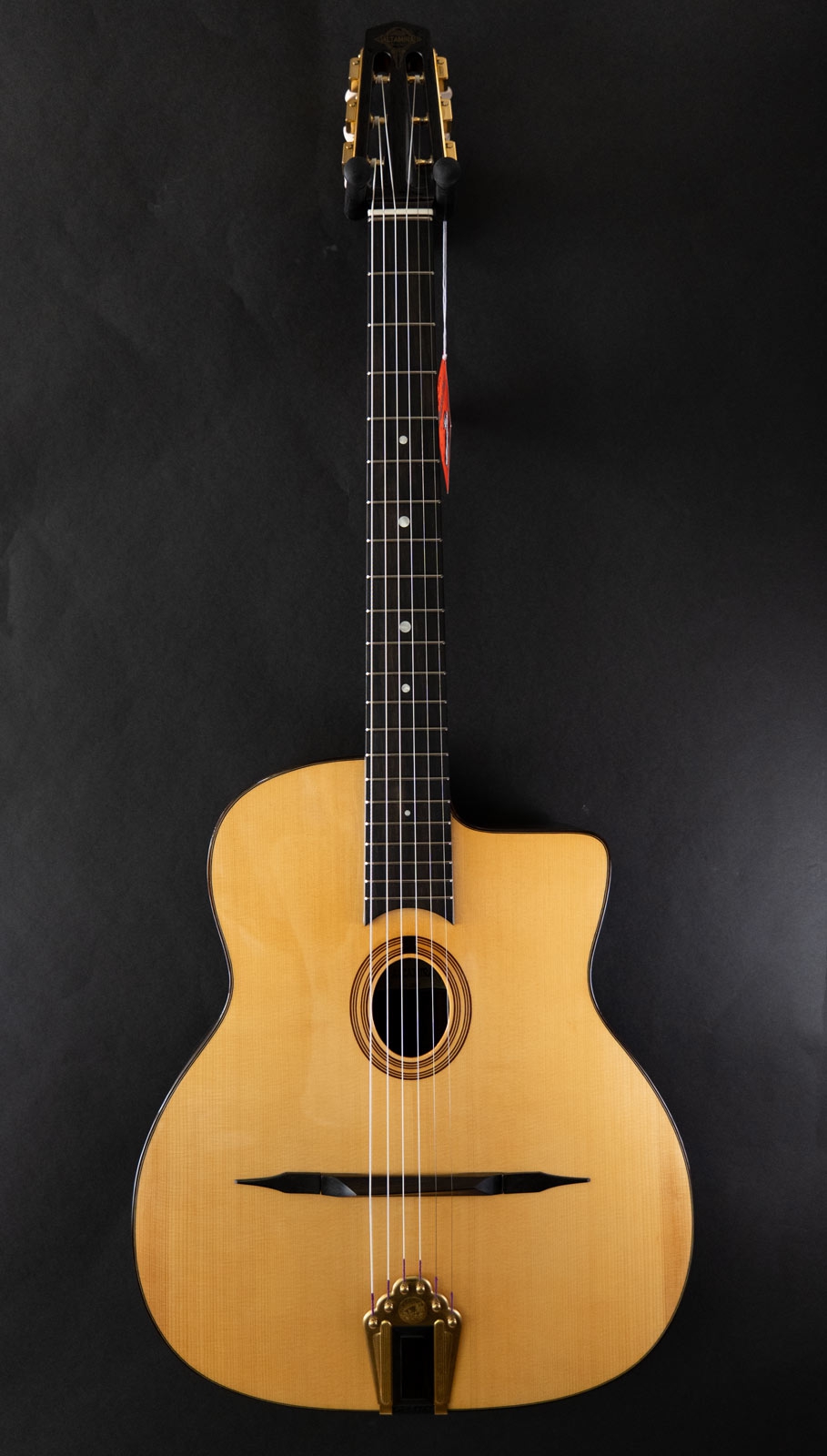 Altamira M01 Gypsy guitar oval soundhole