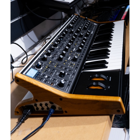 Moog Subsequent 37 inclusief tas
