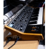 Moog Subsequent 37 inclusief tas Moog Subsequent 37 inclusief tas