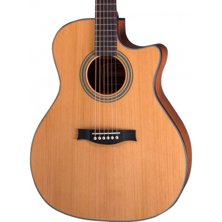 Stanford Radiotone studio 49G ECW