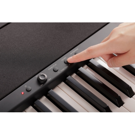 Korg B2+ SPBK zwart