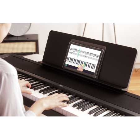 Korg B2+ SPBK zwart