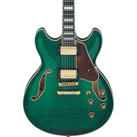 Ibanez AS93FM TMG