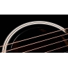 Taylor Gold Label 517e Blacktop Taylor Gold Label 517e Blacktop