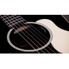 Taylor Gold Label 517e Blacktop Taylor Gold Label 517e Blacktop