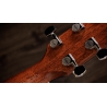 Taylor Gold Label 517e Blacktop Taylor Gold Label 517e Blacktop