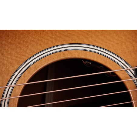 Taylor Gold Label 517e SB Firestripe PG