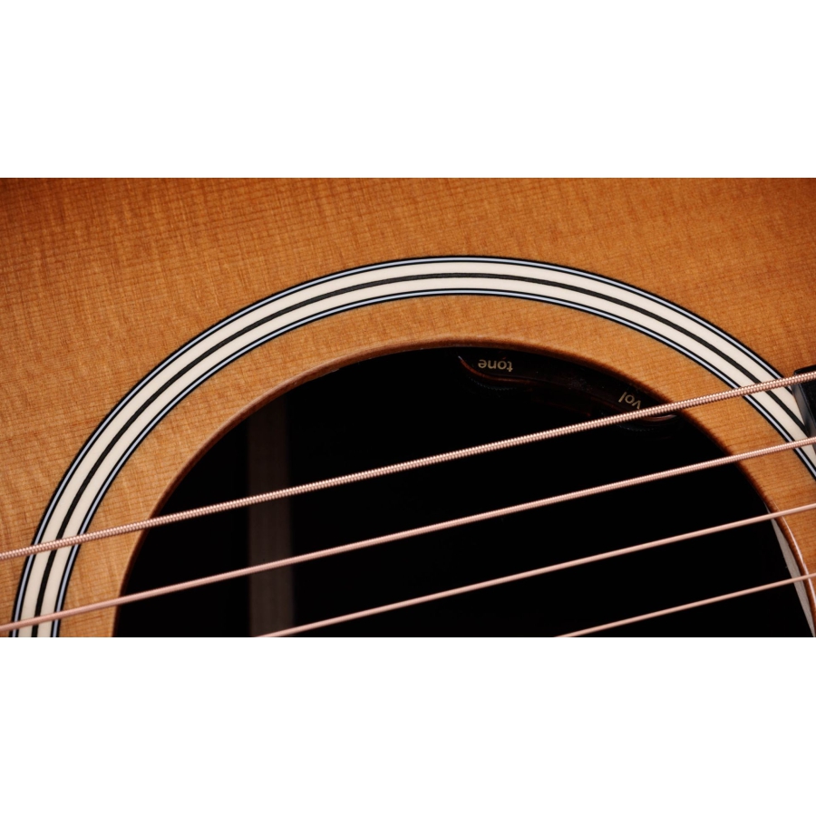 Taylor Gold Label 717e SB Firestripe PG