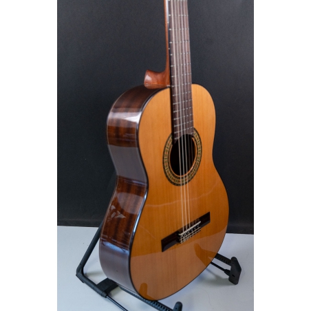 Alhambra 3C Cadet 3/4 model incl. hoes