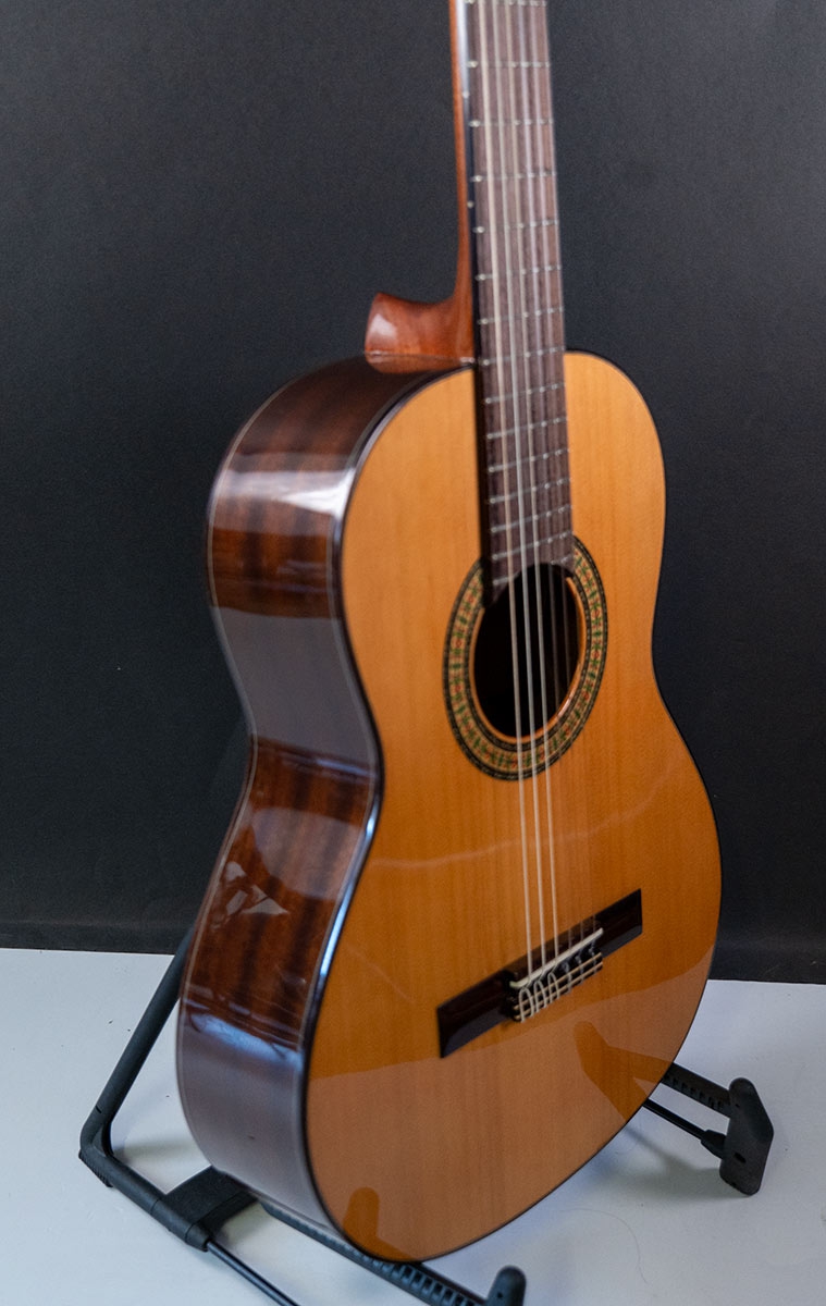 Alhambra 3C Cadet 3/4 model incl. hoes