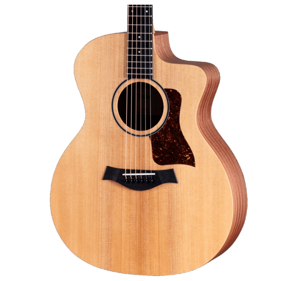 Taylor 14CE Taylor 14CE