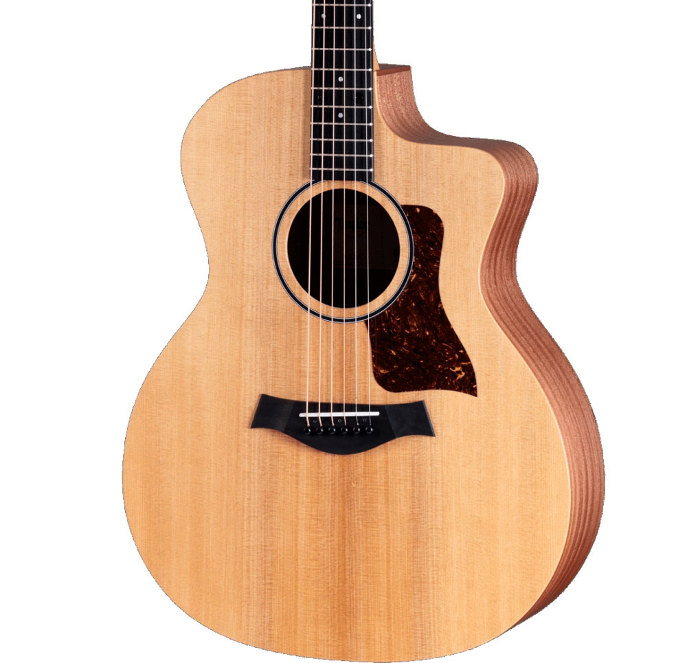 Taylor 14CE