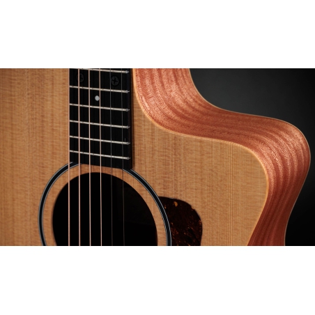Taylor 14CE