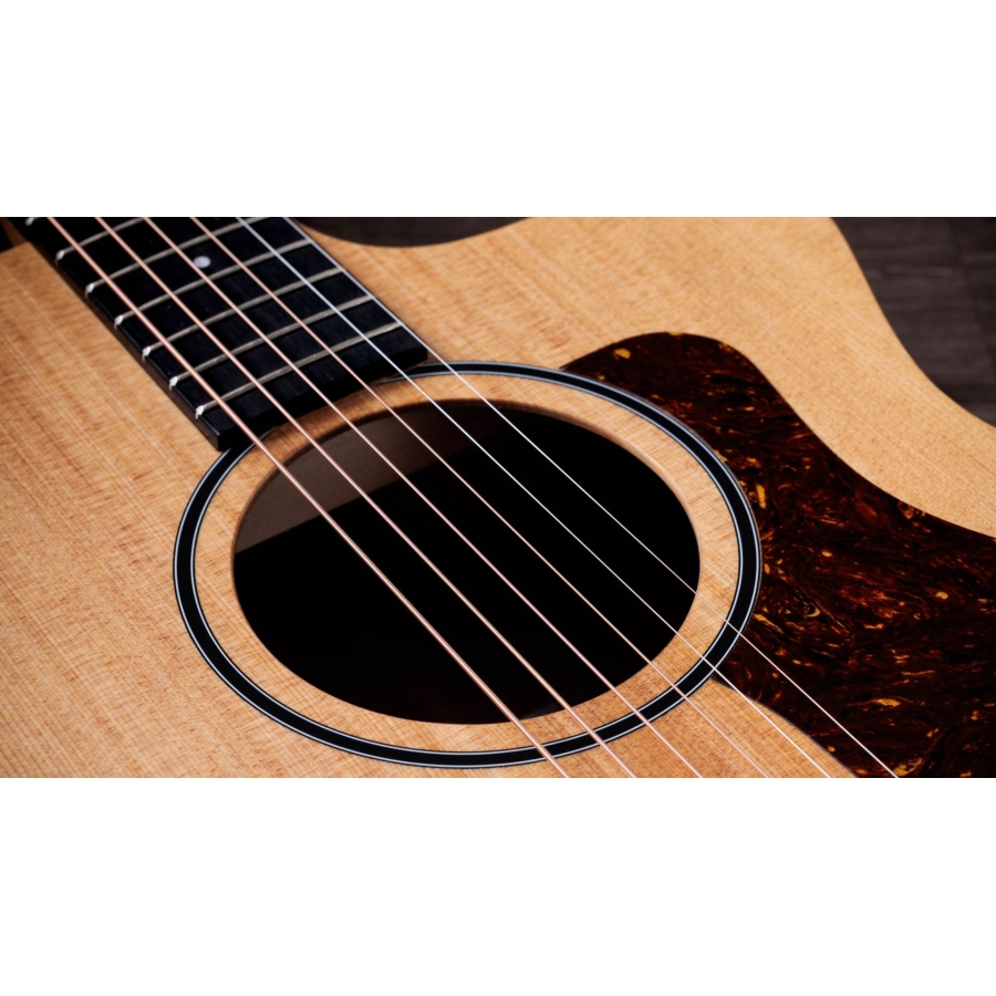 Taylor 14CE Taylor 14CE