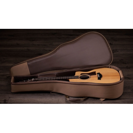 Taylor 14CE