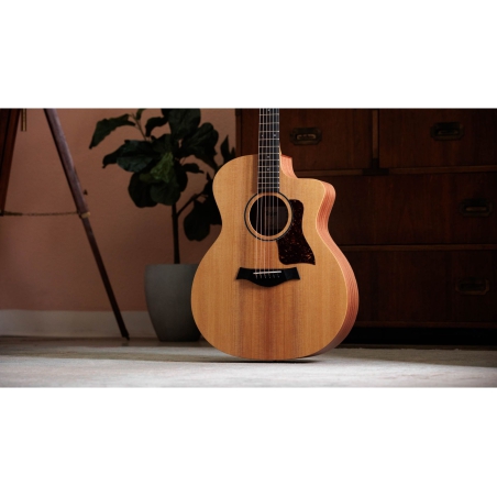 Taylor 14CE
