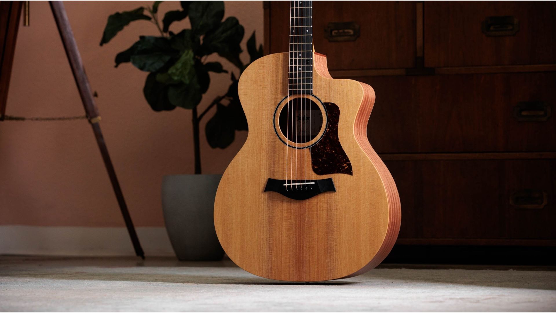 Taylor 14CE