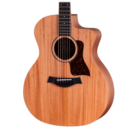 Taylor 24CE