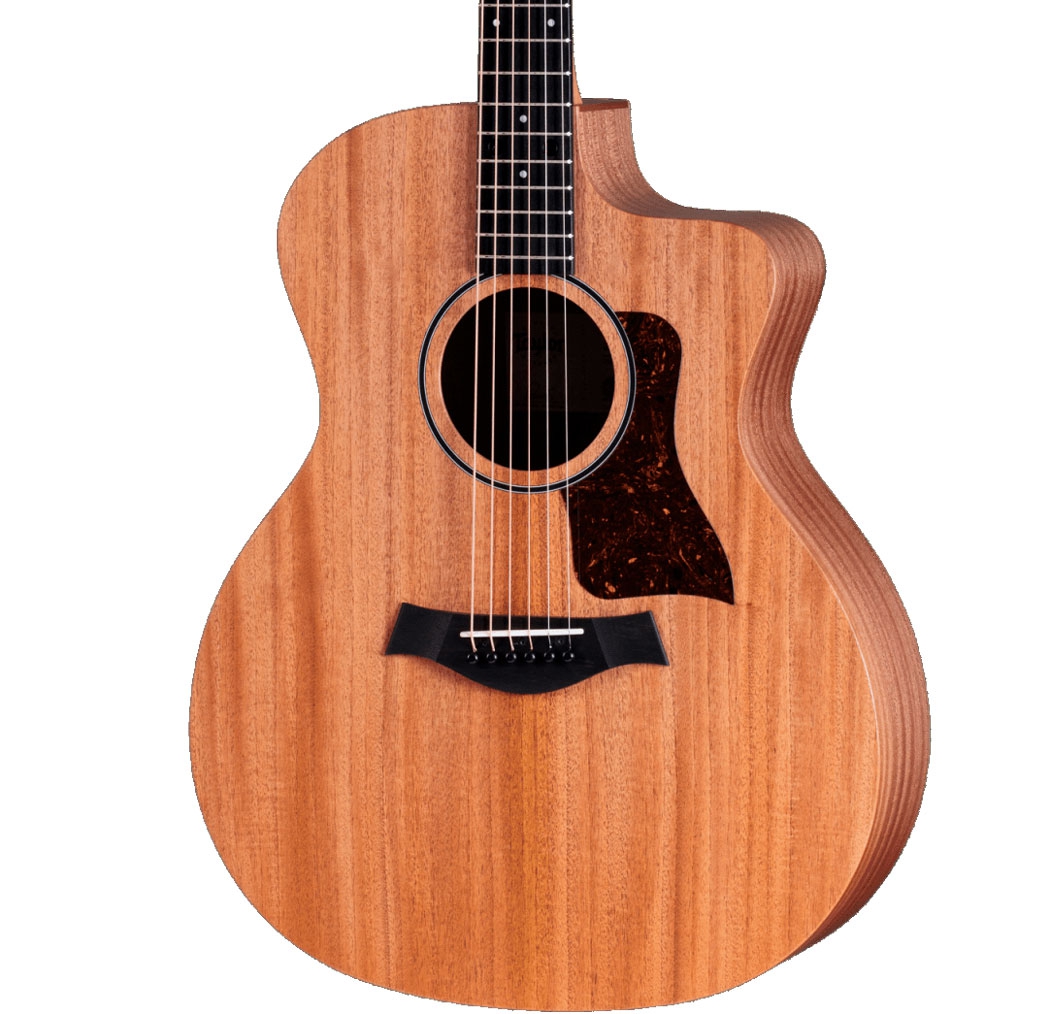 Taylor 24CE