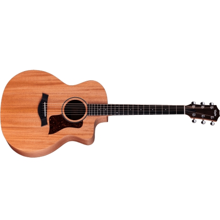 Taylor 24CE