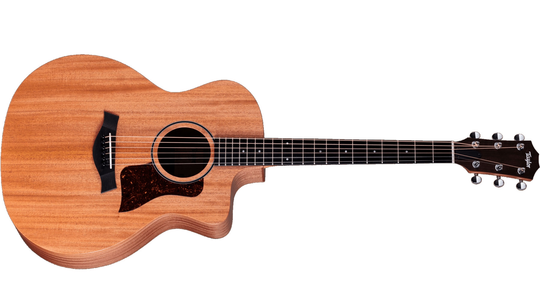 Taylor 24CE