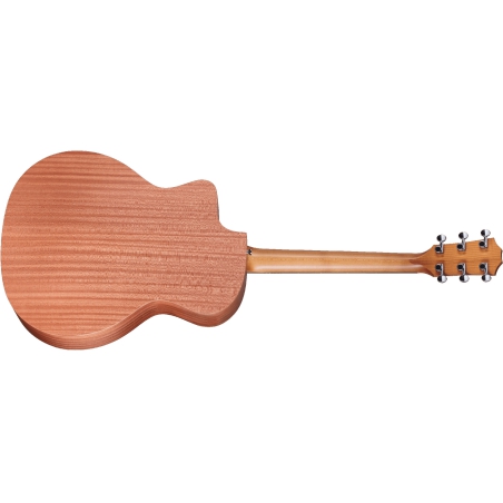 Taylor 24CE