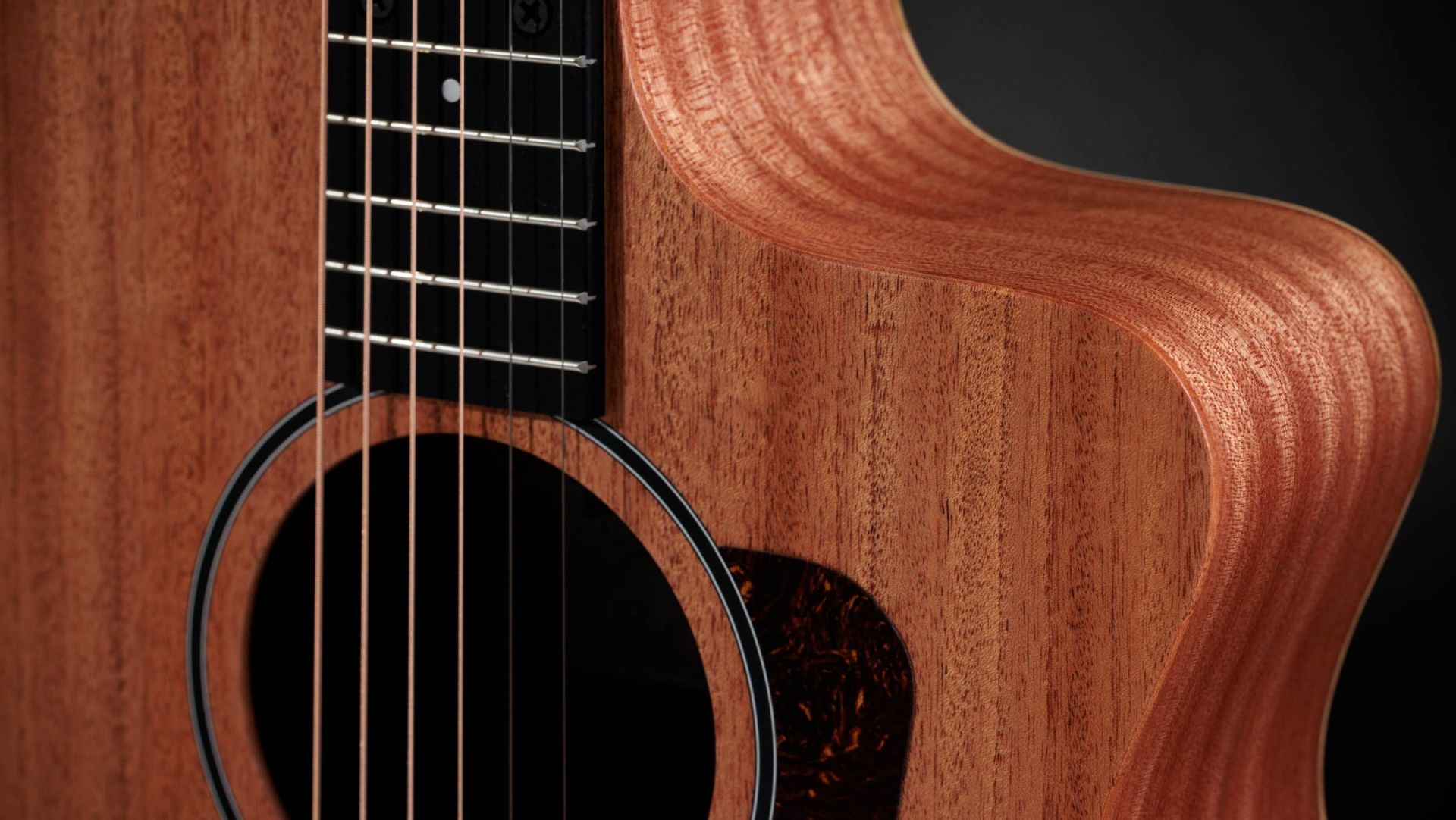 Taylor 24CE