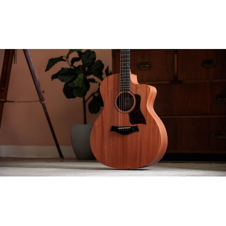 Taylor 24CE
