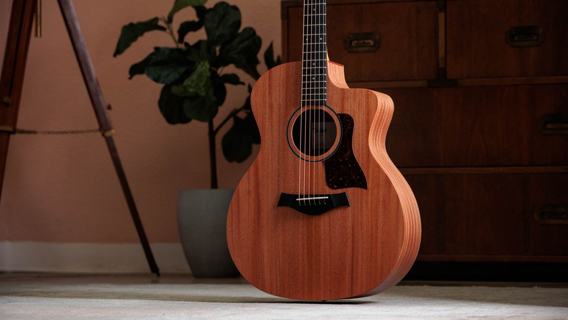 Taylor 24CE