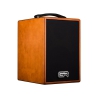 GR Guitar WDAC6 Acoustic Combo Wood GR Guitar WDAC6 Acoustic Combo Wood
