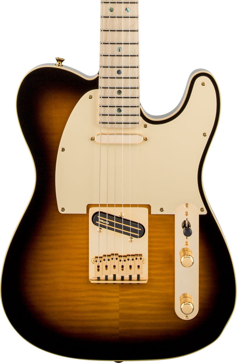 Fender Richie Kotzen Telecaster MN Brown Sunburst