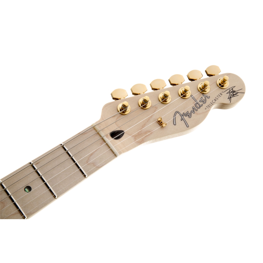 Fender Richie Kotzen Telecaster MN Brown Sunburst Fender Richie Kotzen Telecaster MN Brown Sunburst