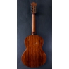 LAG CBW2E Bluewave 2 Classical Smart Guitar LAG CBW2E Bluewave 2 Classical Smart Guitar