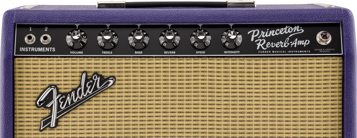 Fender LTD 65 Princeton Plum Greenback
