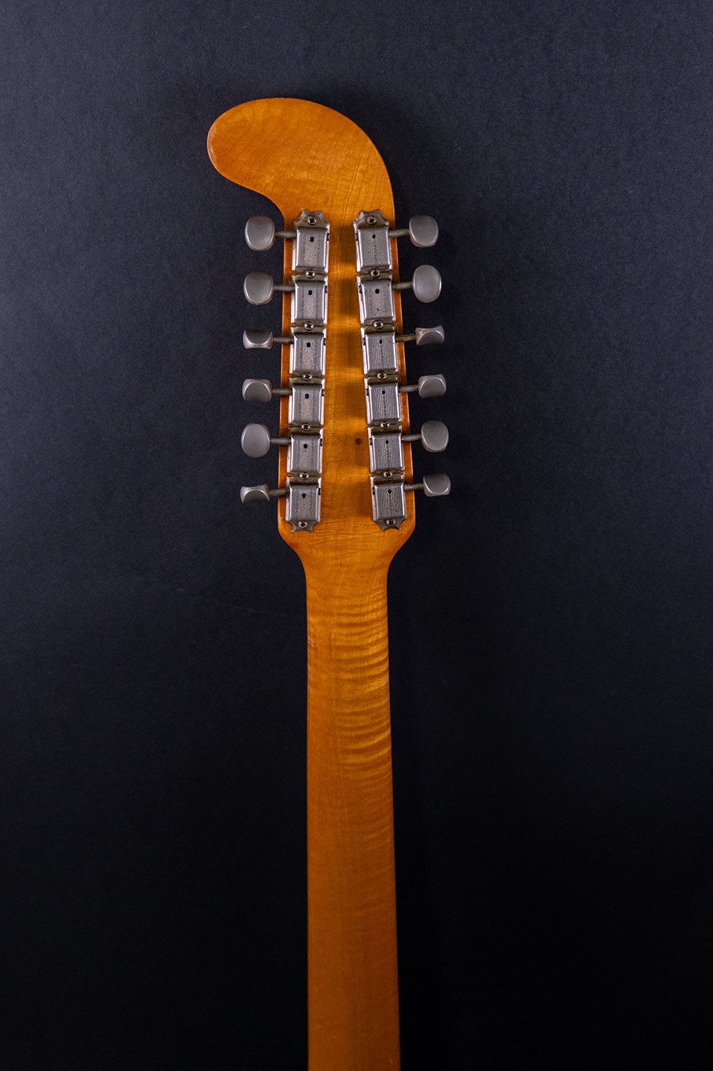 Fender Electric XII 1965
