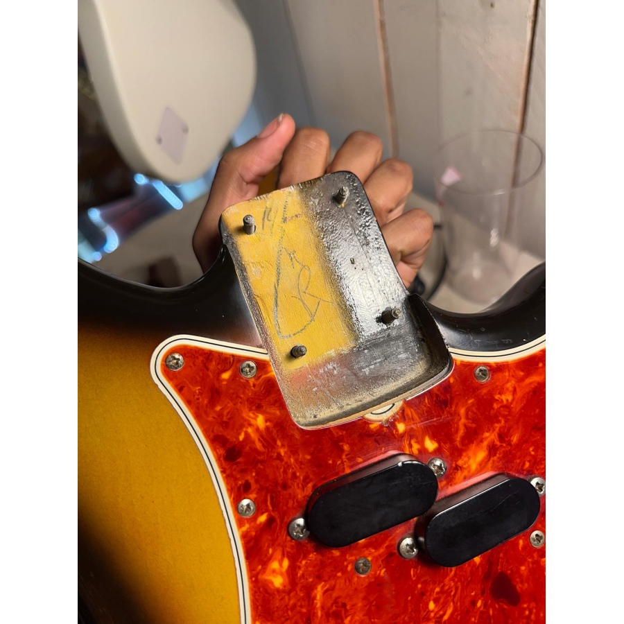 Fender Electric XII 1965