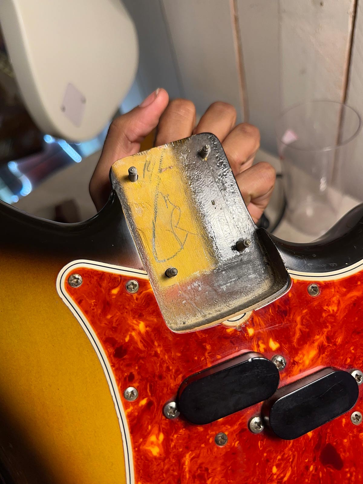 Fender Electric XII 1965