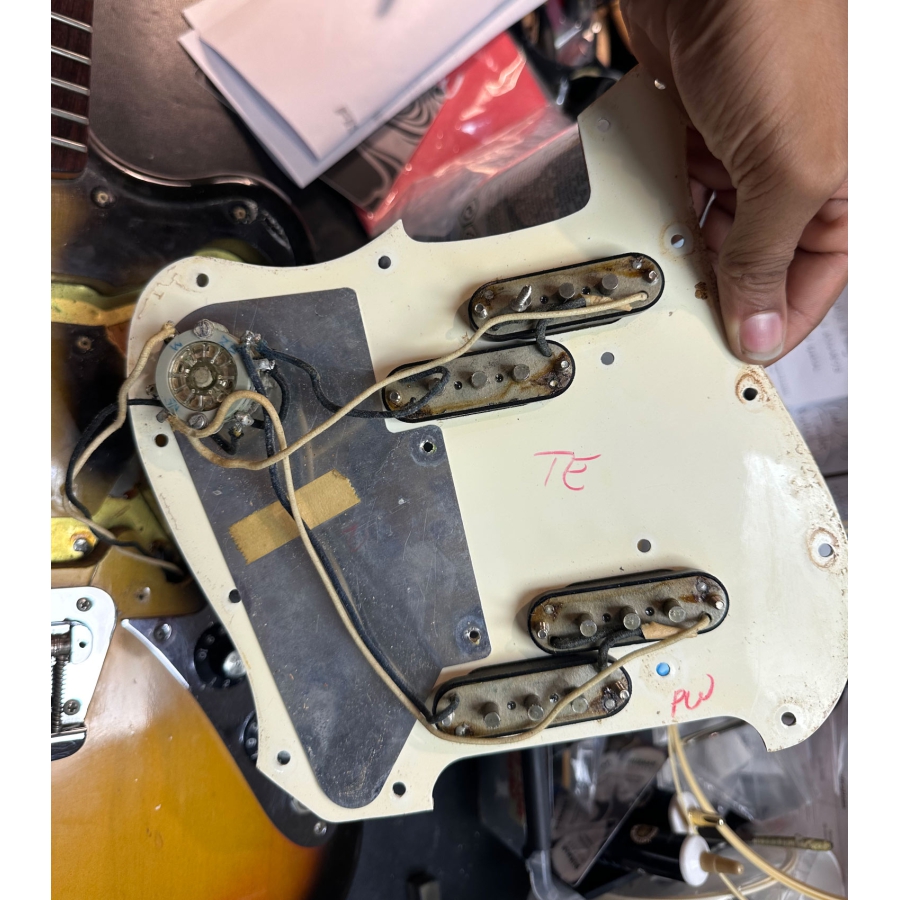 Fender Electric XII 1965