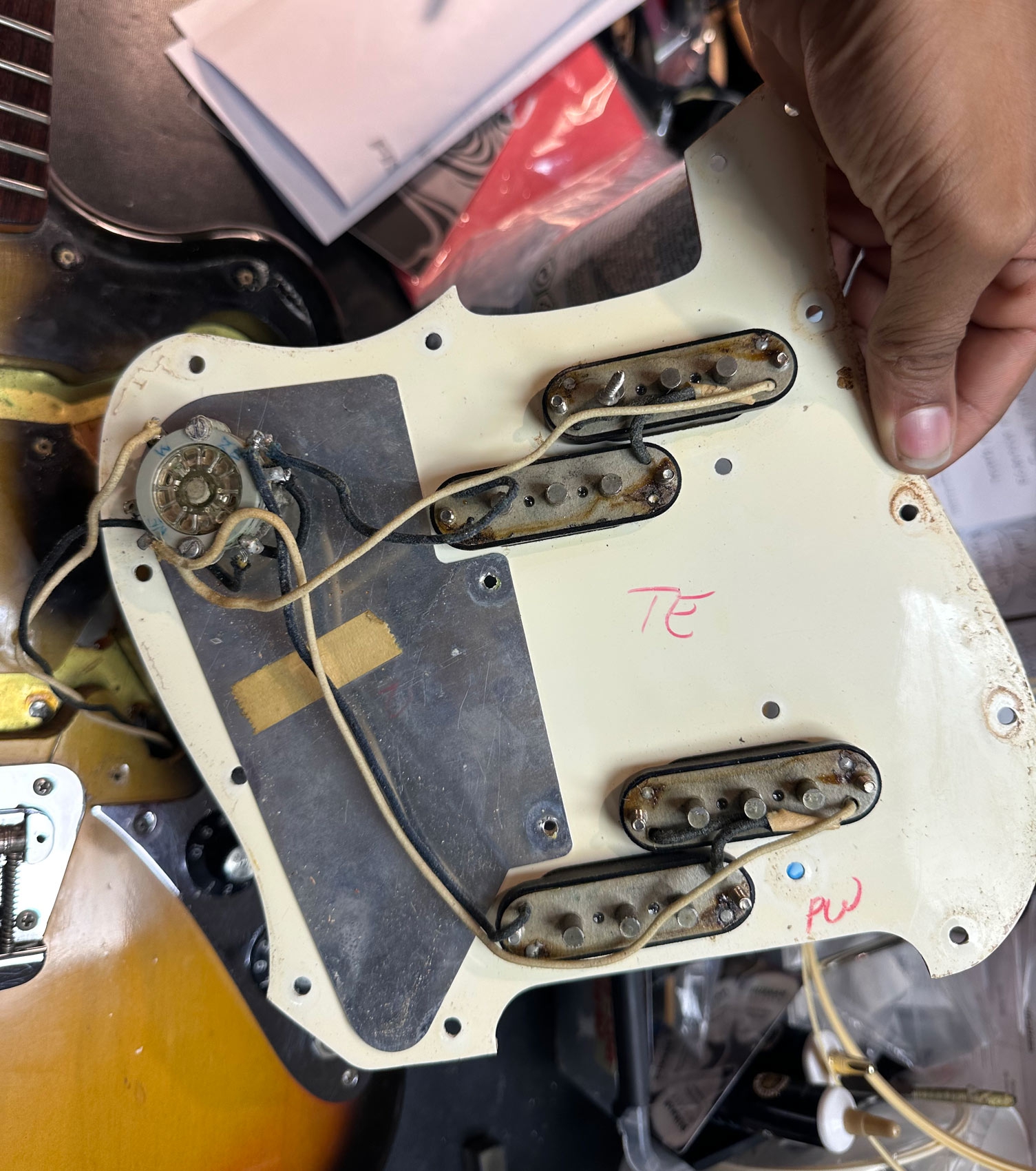 Fender Electric XII 1965