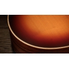 Taylor Sunset Blvd GS Mini-e Rosewood SEB Taylor Sunset Blvd GS Mini-e Rosewood SEB