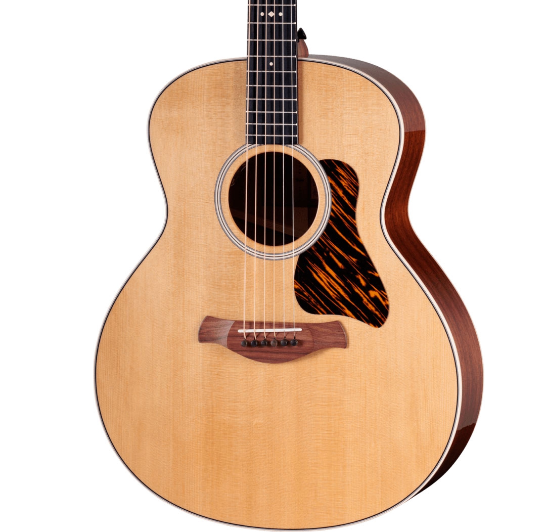 Taylor Gold Label 514e Natural