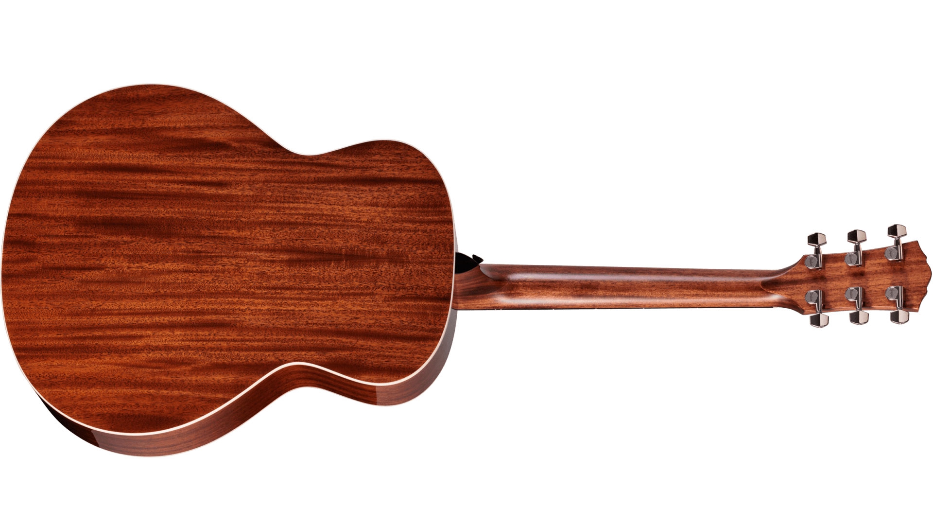 Taylor Gold Label 514e Natural