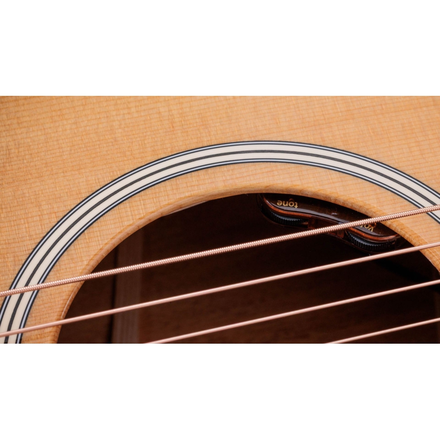 Taylor Gold Label 514e Natural Taylor Gold Label 514e Natural