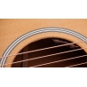 Taylor Gold Label 514e Natural Taylor Gold Label 514e Natural