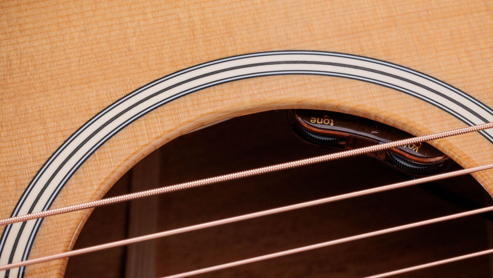 Taylor Gold Label 514e Natural