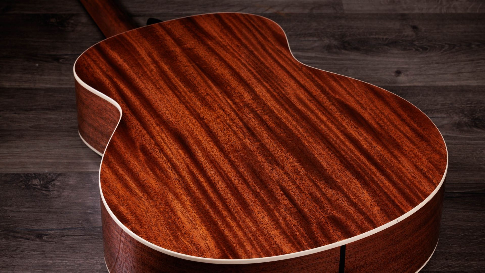 Taylor Gold Label 514e Natural