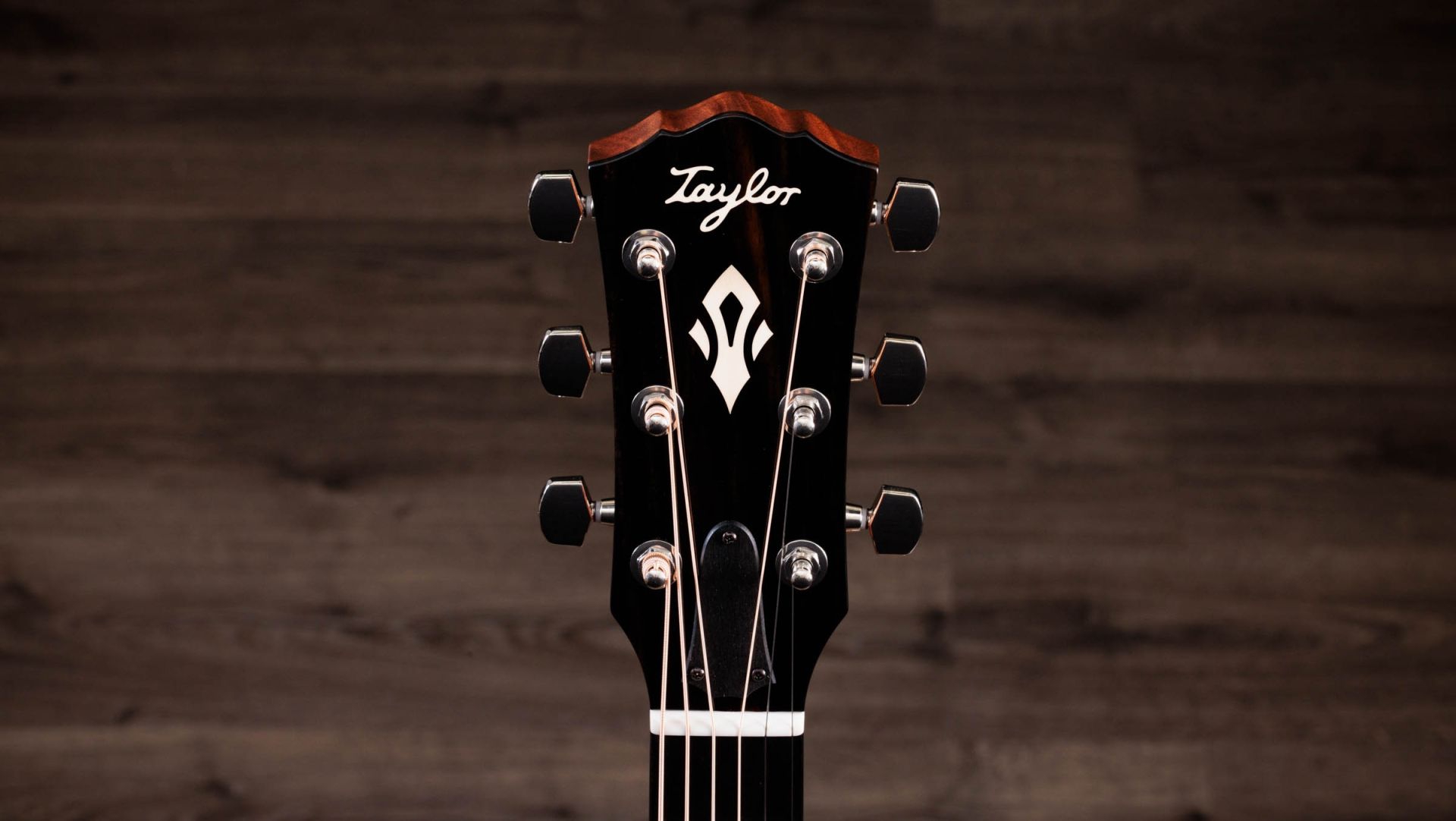 Taylor Gold Label 514e Natural