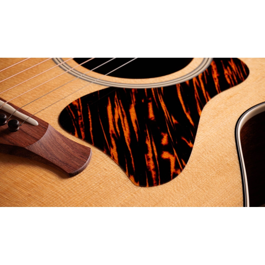 Taylor Gold Label 514e Natural Taylor Gold Label 514e Natural