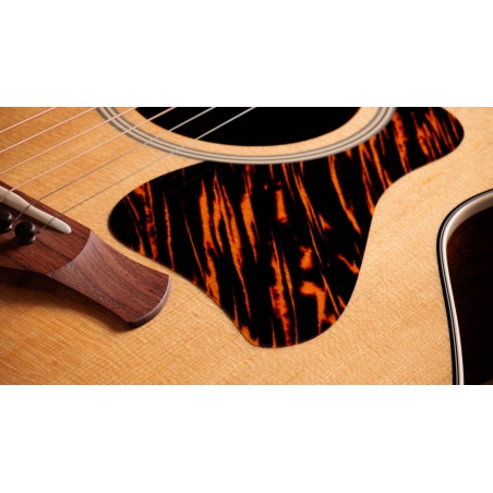 Taylor Gold Label 514e Natural